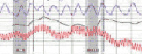 Saturday Sunday polygraph in Norwalk